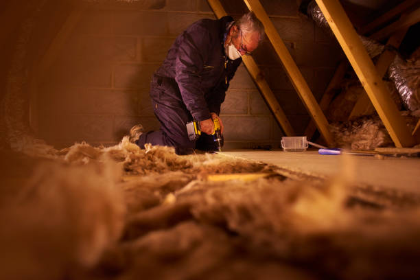 Best Insulation Maintenance and Repair in Hayden, ID